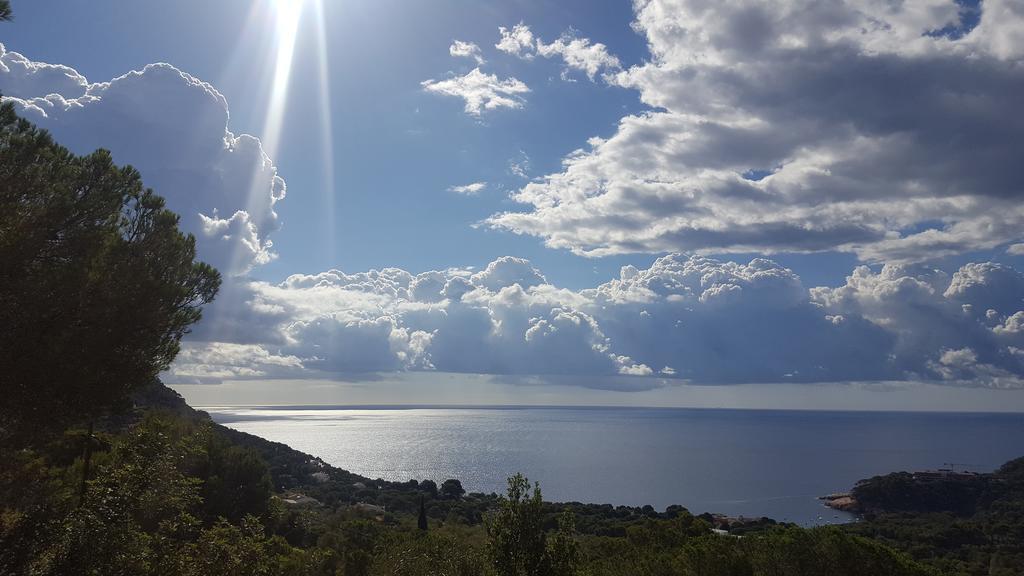 Hostal Sa Barraca - Adults Only Begur Dış mekan fotoğraf